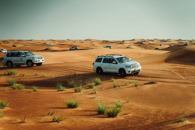 Premium Desert Safari Experience - Delightful Camp Amenities