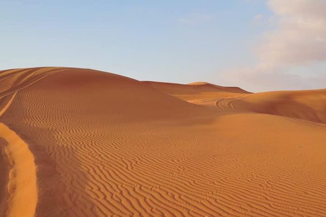 Premium Red Dunes Safari and Camel Safari With BBQ Dinner - Camel Ride and Sand Boarding