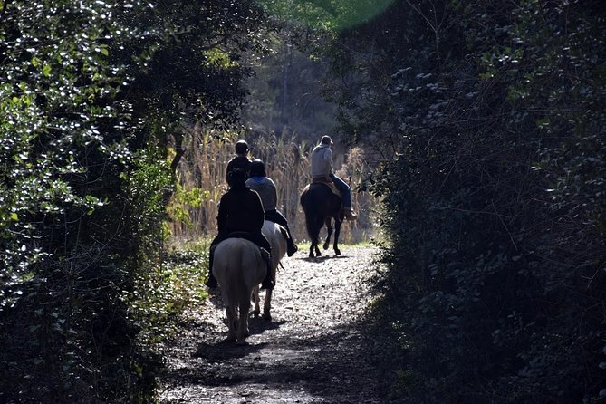 PREMIUM SMALL GROUP: Montserrat Horseback Riding & Monastery - Meeting and Pickup