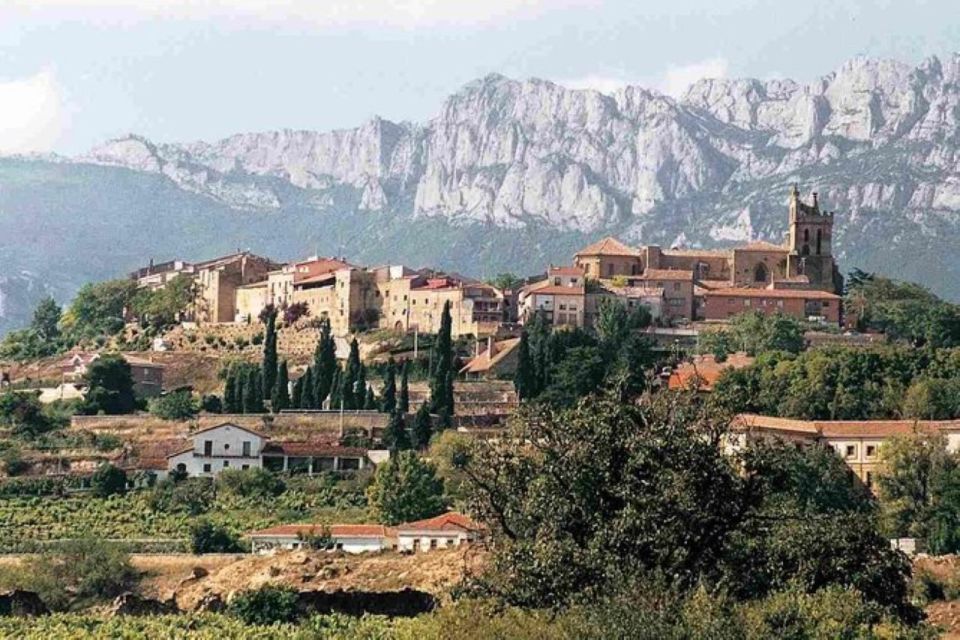 Premium Wine Tour of Rioja With Gourmet Lunch (From Bilbao) - Tasting Experience