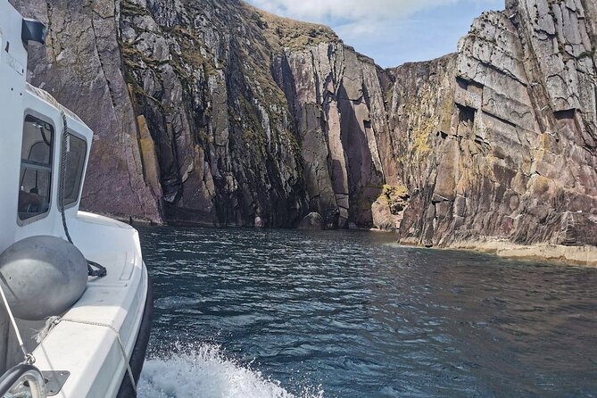 Private 1-Hour Guided Boat Tour in Dingle Peninsula - Pricing