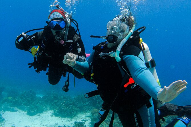 Private 2 Tank Guided Experience in Curaçao for Certified Divers - Activity Details