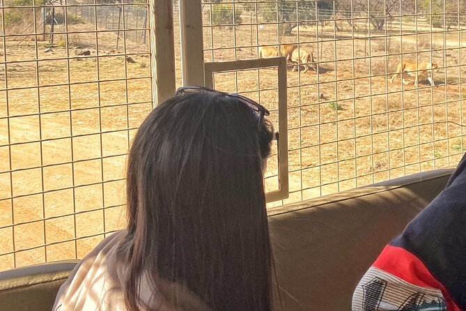 Private 5-Hour Lion Park Tour From Johannesburg or Pretoria - Experience Highlights