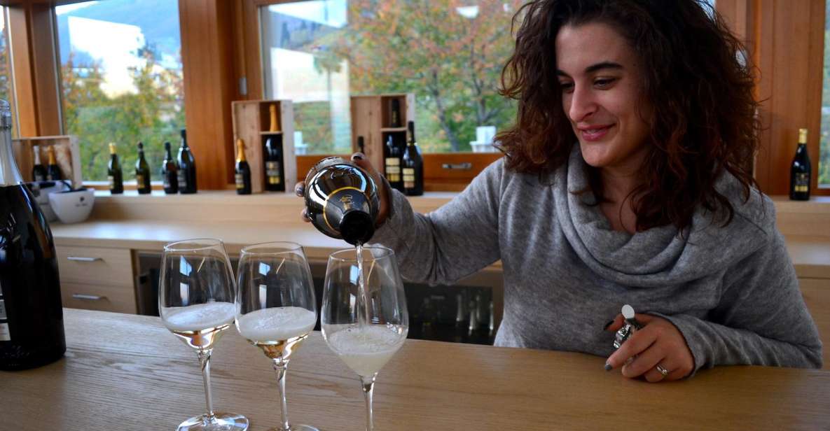 Private 7-Hour Prosecco Wine Tour From Venice - Winery Visits and Tastings