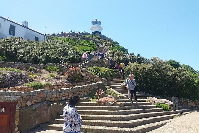 Private Cape Point Penguins Tour - a Full Day of Exploring the Cape Peninsula - Tour Details