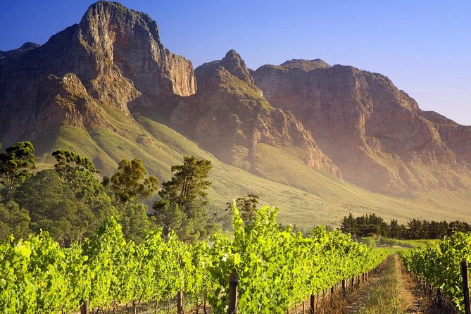 Private Cape Winelands Guided Full Day Tour From Cape Town - Experiences