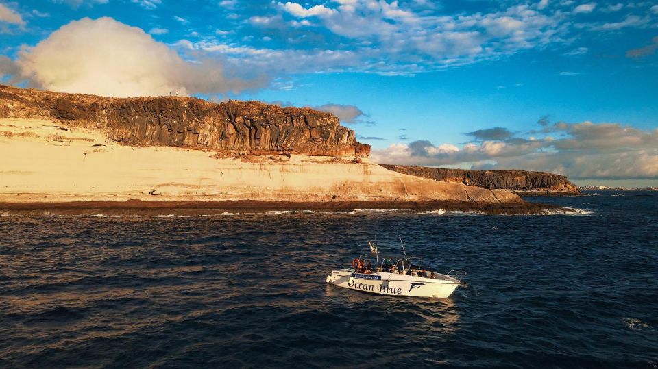 Private Charter Private Charter to See the Whales - 2 Hours - Underwater Exploration