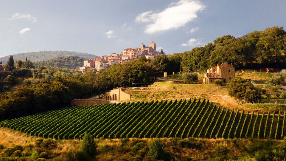 Private Chianti Tour and Wine Tasting - Highlights of the Tour