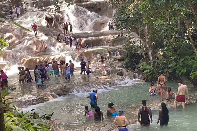 Private Dunns River Falls and Horse Back Riding - Reviews and Ratings