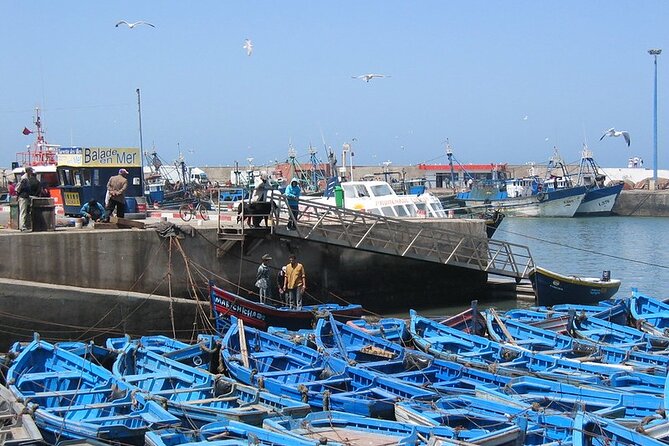 Private Essaouira Day Trip From Agadir - Inclusions