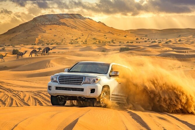 Private Evening Desert Safari With BBQ Dinner Dubai - Pickup and Drop-off Times