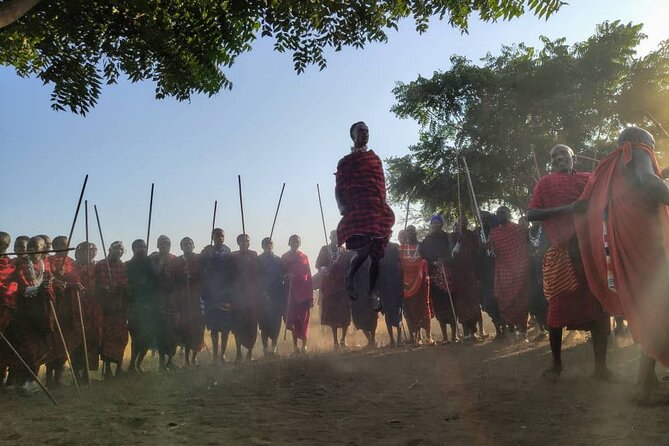 Private Full-Day Tour Maasai Village and Kikuletwa Hot Spring - Meeting and Pickup