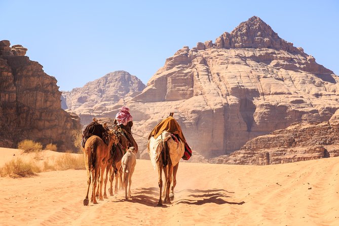 Private Full Day Trip to Wadi Rum Valley of Moon Martian Desert From Amman - Experience Highlights