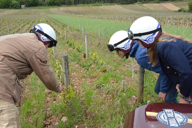 Private Guided Sidecar Tour in Burgundy From Meursault - Pricing and Booking