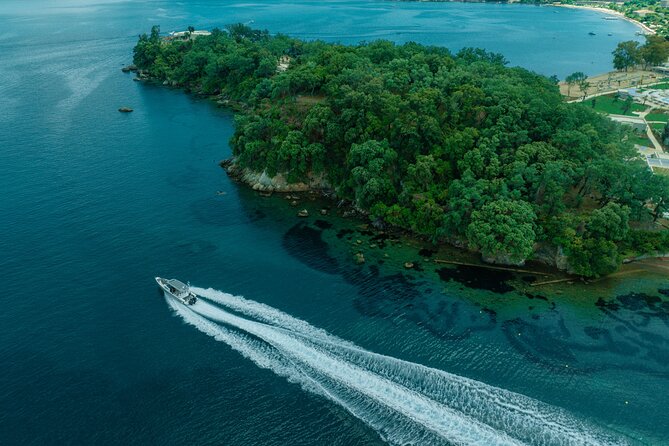 Private Half Day Cruise on a Speed Boat in Corfu Island - Transportation to Marina Gouvia