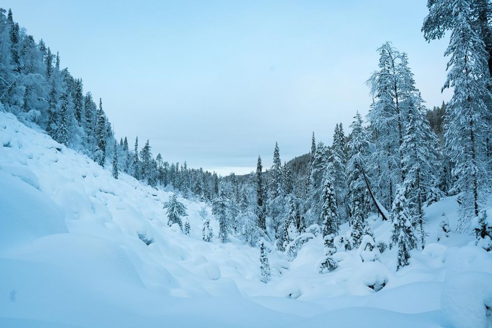 Private Hiking Tour to Frozen Waterfalls in Korouoma Park - Highlights of the Experience