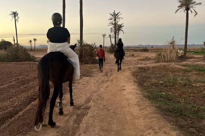 Private Horseback Ride in the Palmeraie of Marrakech - Difficulty and Recommendations