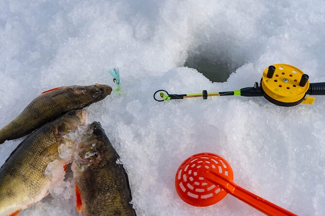 PRIVATE Ice Fishing Snow Scooters Lunch in a Glass Igloo - What to Expect