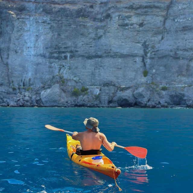 Private Kayak Tour at the Feet of the Giant Cliffs - Encountering Diverse Marine Life