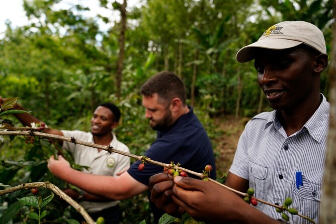 Private Meru Coffee Tour in Nkoaranga - Unraveling Meru Coffee Traditions