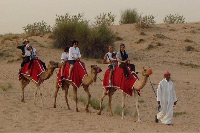 Private Morning Desert Safari of Arabian Desert With Camel Ride - Activity Highlights