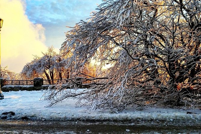 Private Niagara Ice Wine Tour - Winery Visits