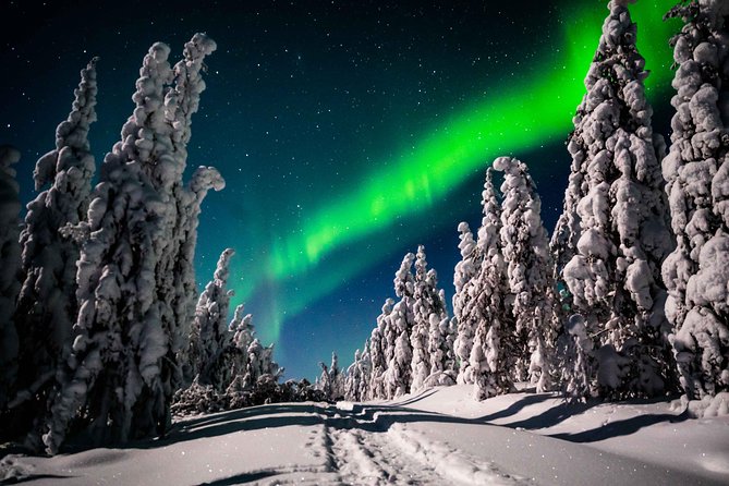 Private Northern Lights Photography Tour in Rovaniemi - Private 4x4 Vehicle Transport