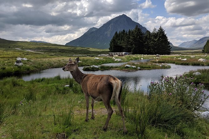 Private One Day Highlands Tour of Scotland - Dalwhinnie Distillery Experience