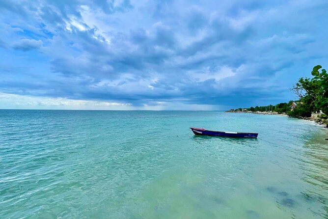 Private Seafood Tour and Floyds Pelican Bar or Black River Safari - Tour Options: Floyds Pelican Bar or Black River Safari