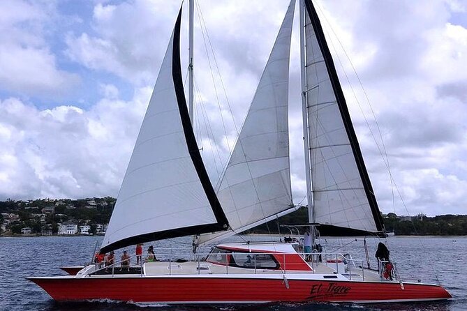 Private Tour: Barbados Catamaran Snorkeling Cruise - Hotel Pickup and Drop-off