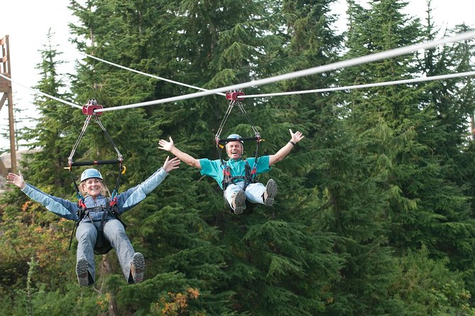 Private Tour: Capilano Suspension Bridge and Grouse Mountain - Experience the Cliffwalk