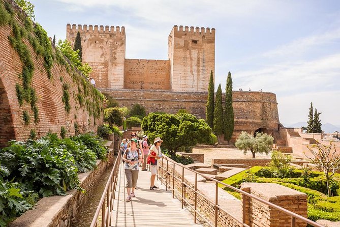 Private Tour From Malaga to the Alhambra Palace and Granada for up to 8 Persons - Tour Experience