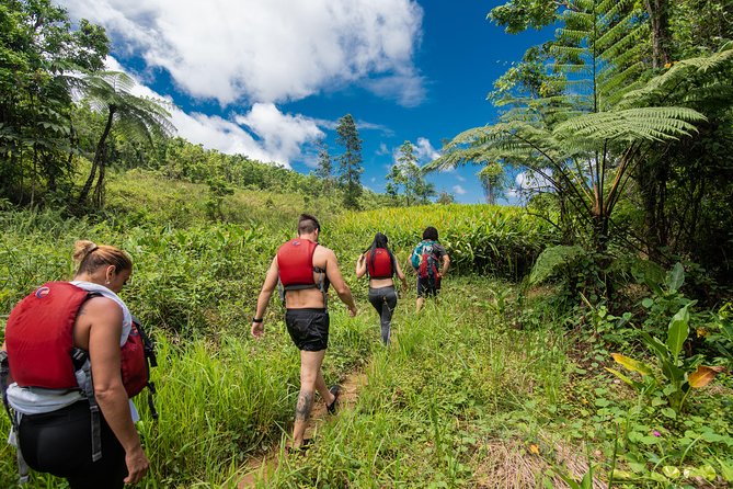 Private Tour of El Yunque Rainforest From San Juan - Preparation and Recommendations