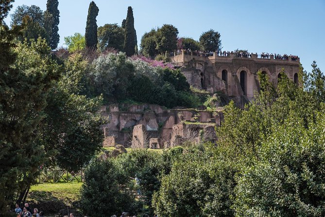 Private Tour of the Colosseum With Roman Forum & Palatine Hill - Highlights of the Private Tour