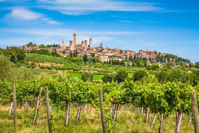 Private Tuscany Tour From Florence Including Siena, San Gimignano and Chianti Wine Region - Charming San Gimignano