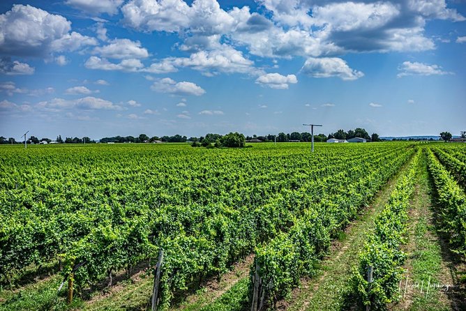 Private Wine and Chocolate Tour in Niagara Wine Region - Logistics