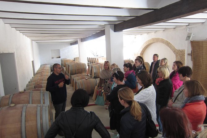 Private Wine Tour With Wine Tasting and Full Lunch - Visiting Vineyards