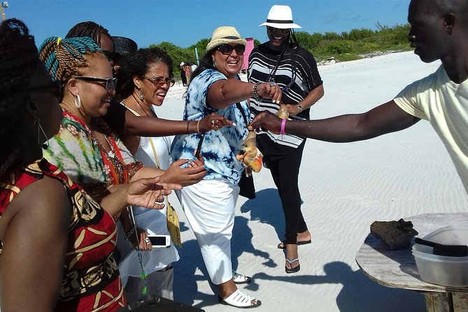 Providenciales Group Island Tour - Guided Experiences