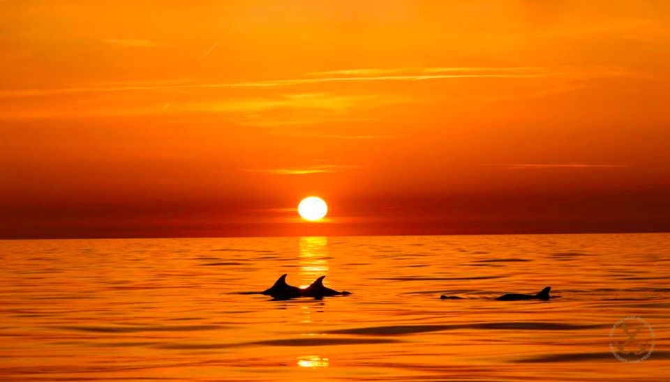 Pula: National Park Brijuni Dolphin Cruise With Dinner - Booking and Payment Options