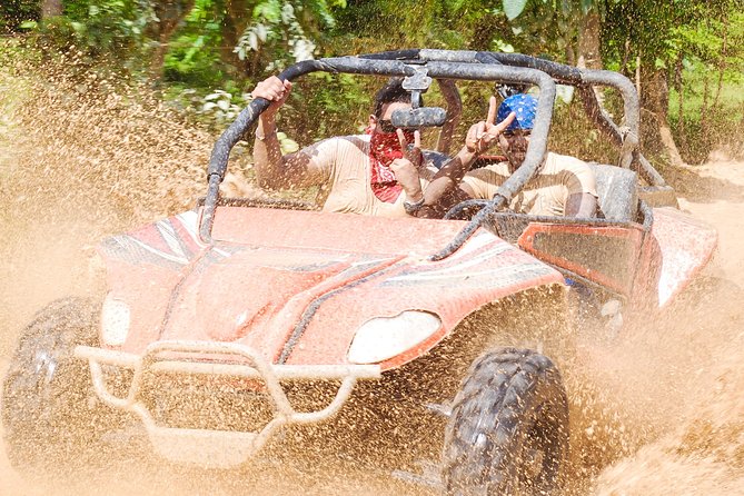 Punta Cana Family Wild Buggy Eco Adventure - Tour Highlights