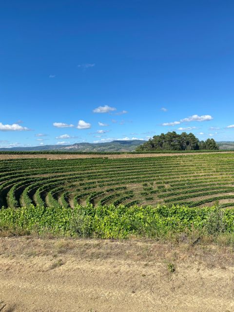 Quinta Do Portal: Walking With Full Lunch and Wine Tasting - Itinerary Breakdown