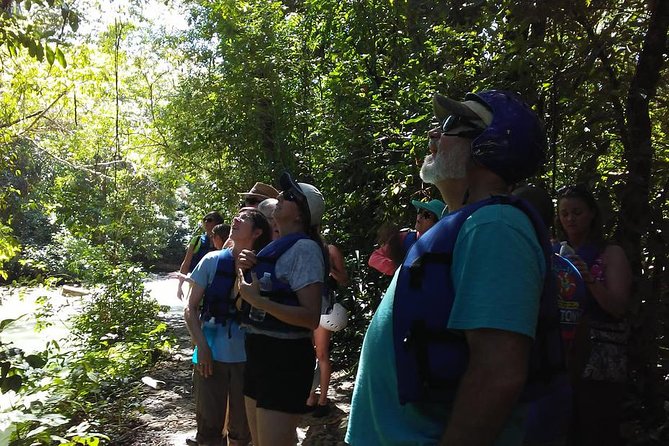 Rainforest Trek to Natural Pool - Taino Bay & Amber Cove Ports - Waterfall Swim and Photography