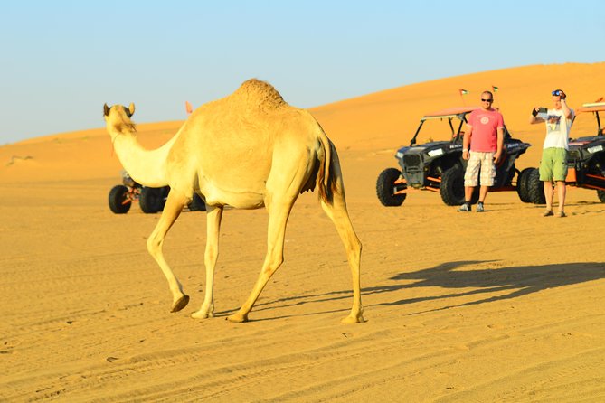 Ras Al Khaimah: Afternoon Desert Safari and BBQ Dinner - Cancellation Policy