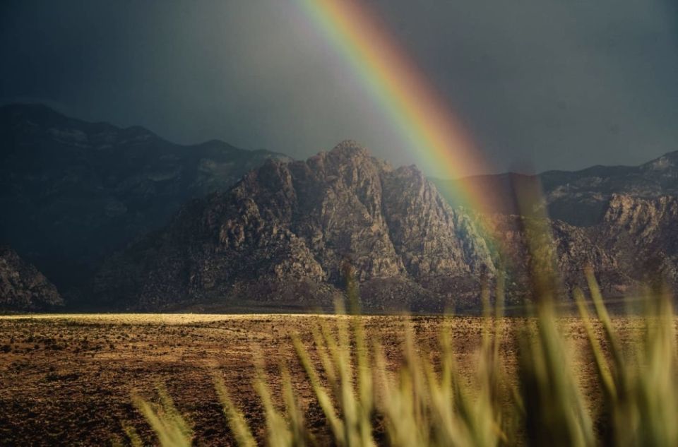 Red Rock Canyon Sign& Seven Magic Mountains Tour - Transportation and Amenities