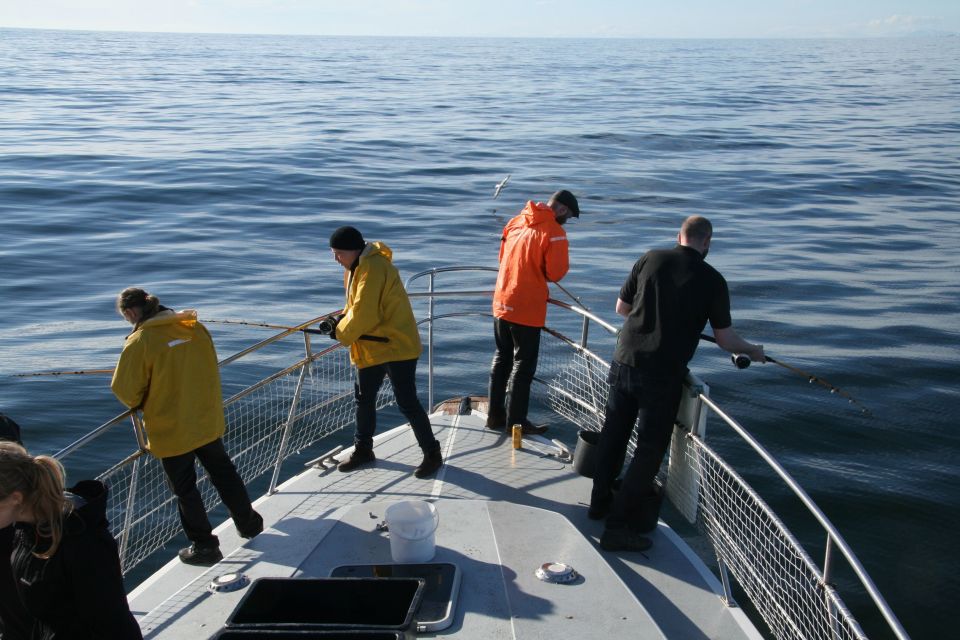 Reykjavik: 3-Hour Sea Angling Gourmet Experience Tour - Icelandic Fishing Tradition