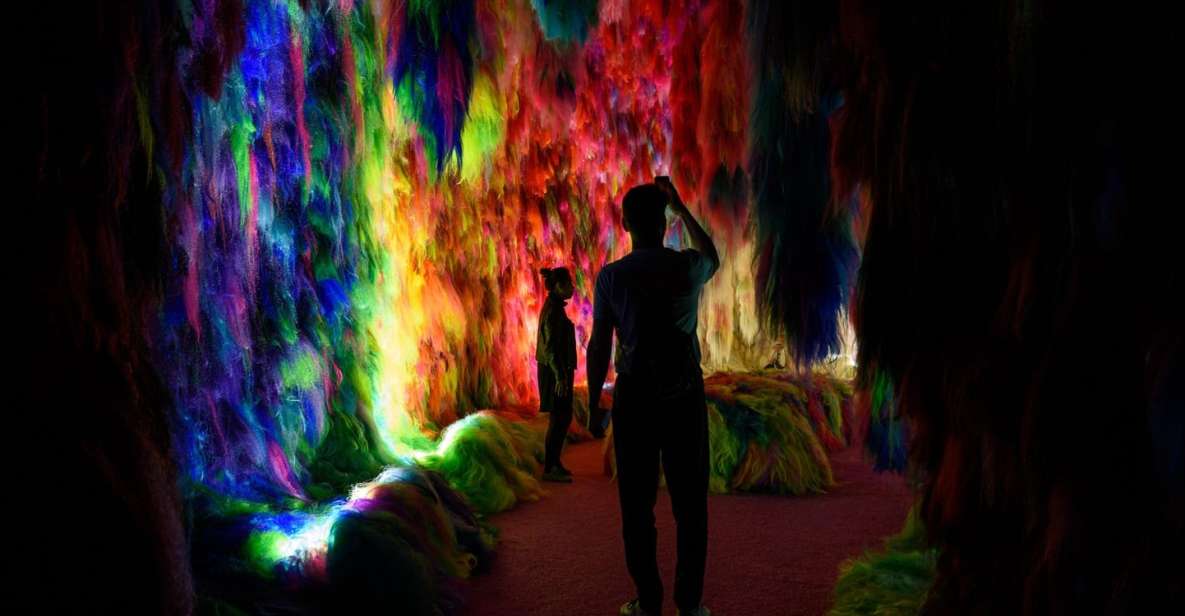 Reykjavik: Multi-Sensory Art Installation Chromo Sapiens - Immersive Caves and Soundscapes