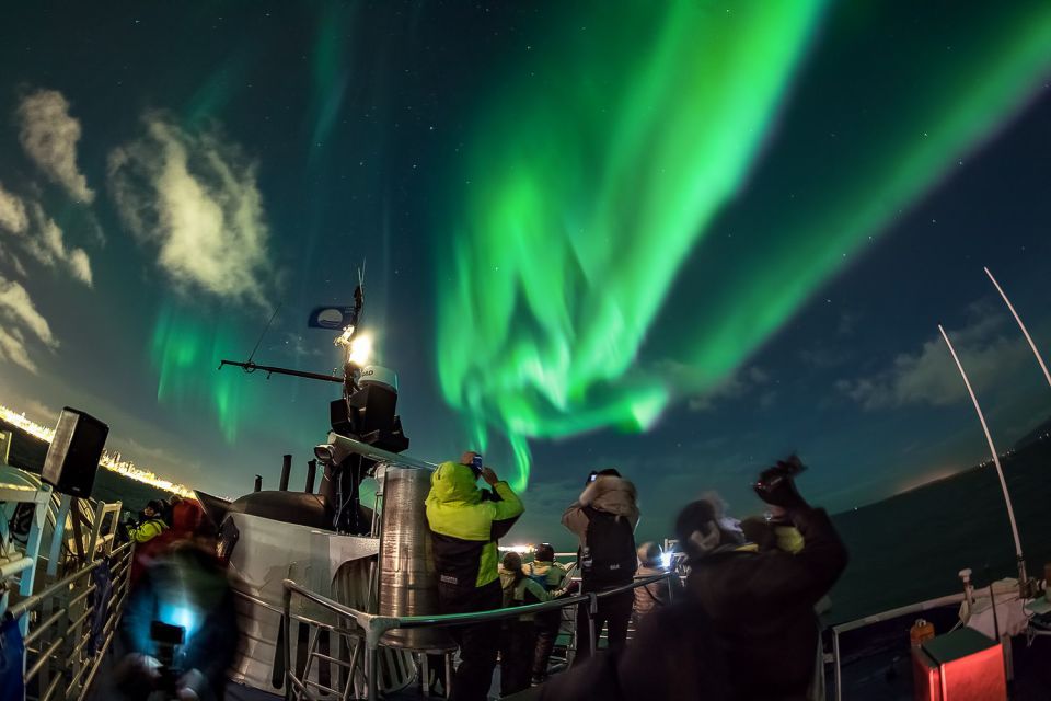 Reykjavik: Northern Lights Guided Boat Tour With Photos - Weather Considerations