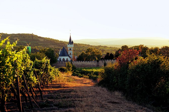 Rhine Valley Wine Tasting Tour From Frankfurt and Mainz - Tour Highlights