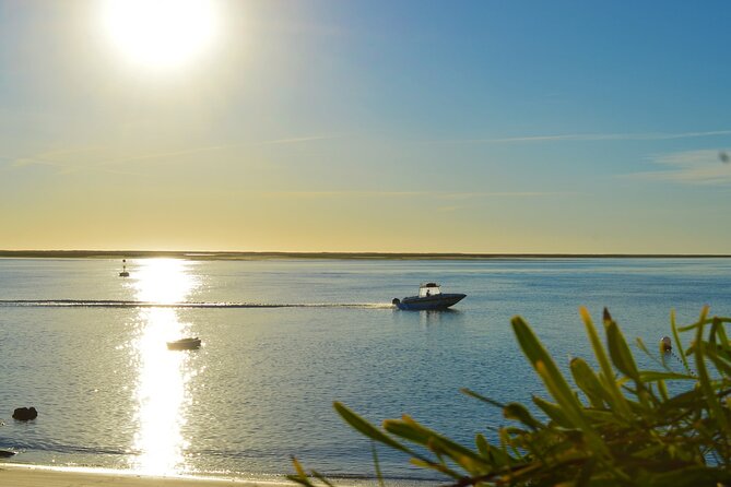 Ria Formosa & Ilhas: Sunset Boat Trip - Confirmation and Accessibility