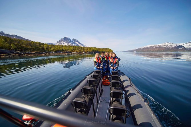 Rib-Boat Excursion to Beautiful Hella 11:00 - Spotting Eagles, Hawks, Herons